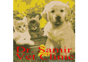 Dr. Samir Vet Clinic<br /><br />