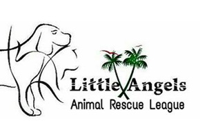 Little Angels - Animal rescue league