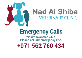 Nad Al Shiba Veterinary Clinic