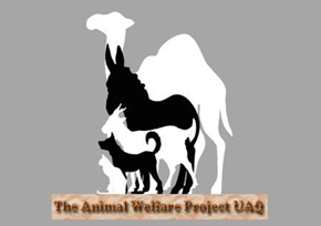  UAQAC Umm Al Quwain Animal Care