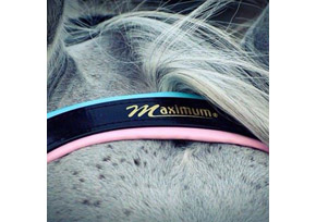 Maximum Equestrian & Horses Accessories